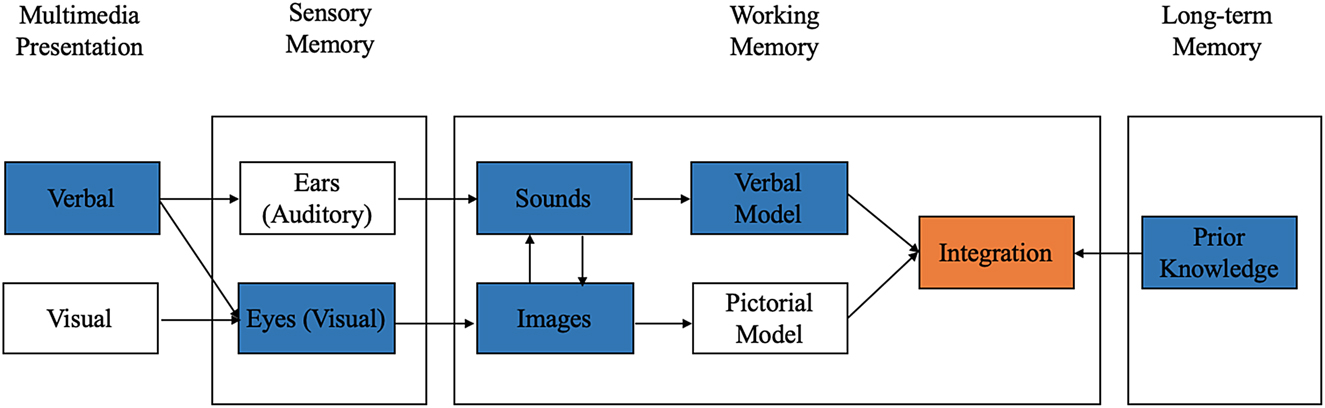 Figure 2: 
Processing of textual inputs.
