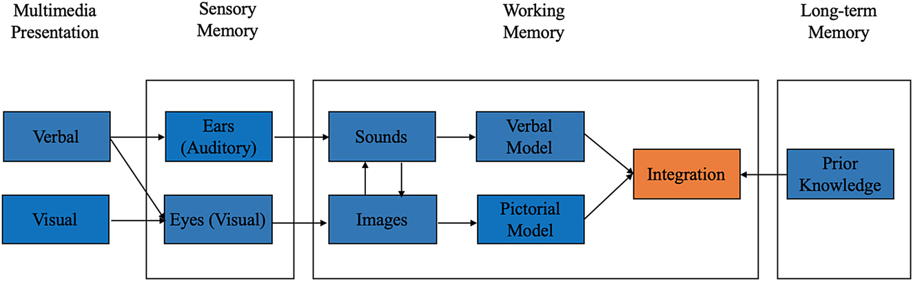 Figure 3: 
Processing of multimedia inputs.
