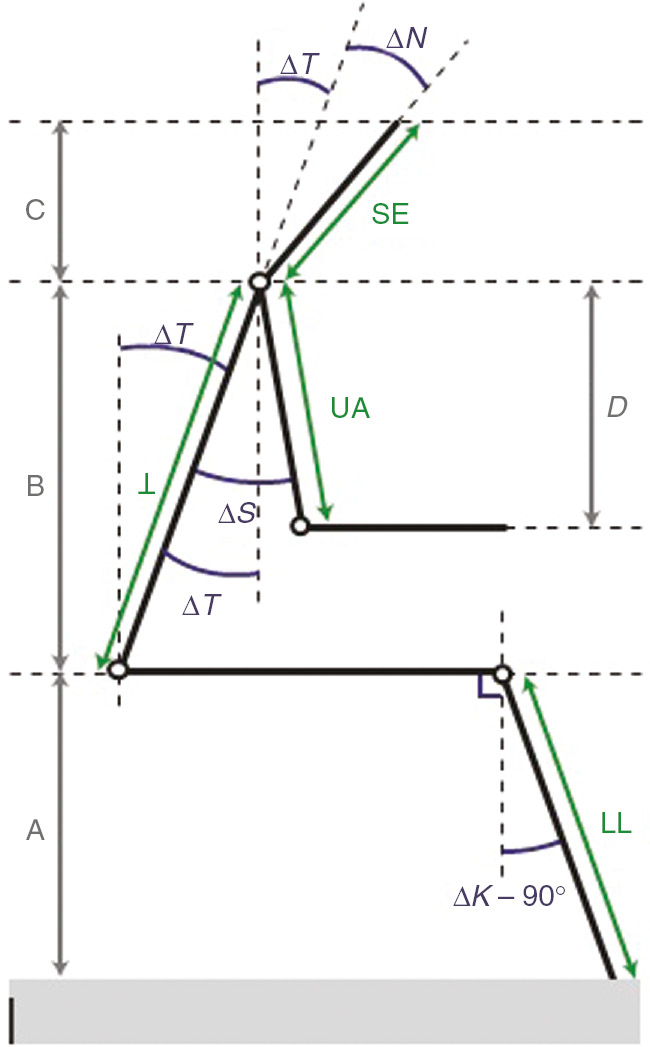 Figure 2: Schematic representation of the geometric model.LL, lower leg; T, trunk; SE, shoulder-eye; UA, upper arm.
