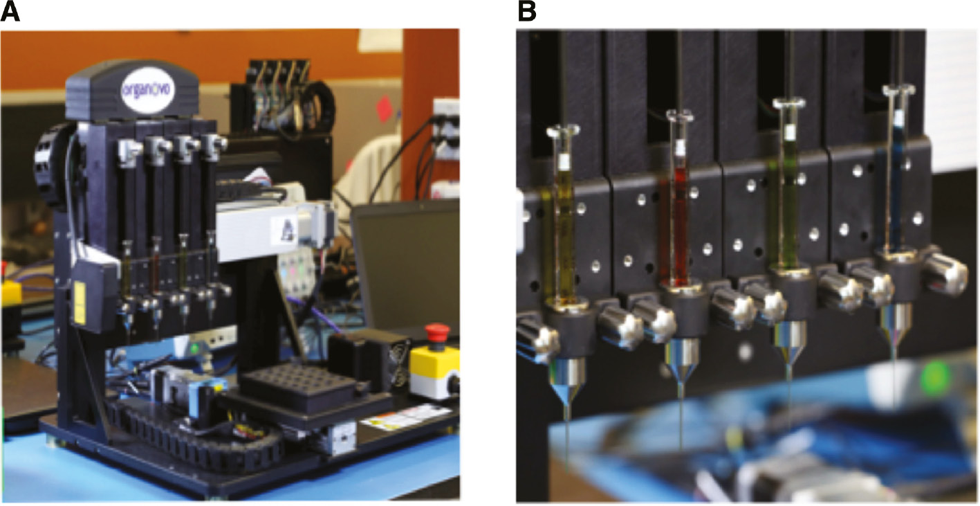 Figure 2: Organovo MMX bioprinter.(A) Organovo MMX bioprinter with four printheads. (B) Printheads of the Organovo MMX Bioprinter. Each printhead can print different cellular materials and/or hydrogel.