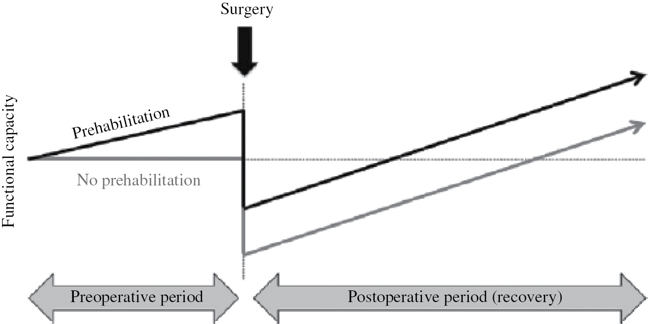 Figure 1: Concept of prehabilitation.Theoretic model of surgical prehabilitation based on the concept of increasing functional capacity before surgery. Adapted with permission from Carli F, Zavorsky GS. Optimizing functional exercise capacity in the elderly surgical population. Curr Opin Clin Nutr Metab Care 2005; 8: 25.