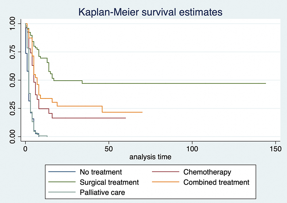 Figure 2:
Kaplan–Meier estimates by type of treatment.