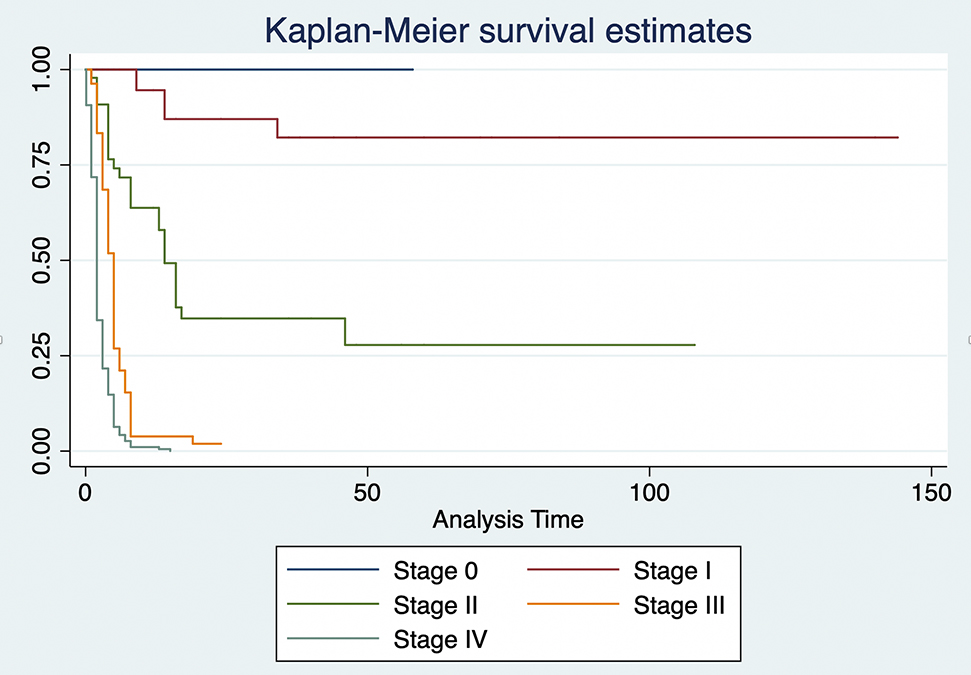 Figure 3:
Kaplan–Meier estimates by stage of diagnosis.