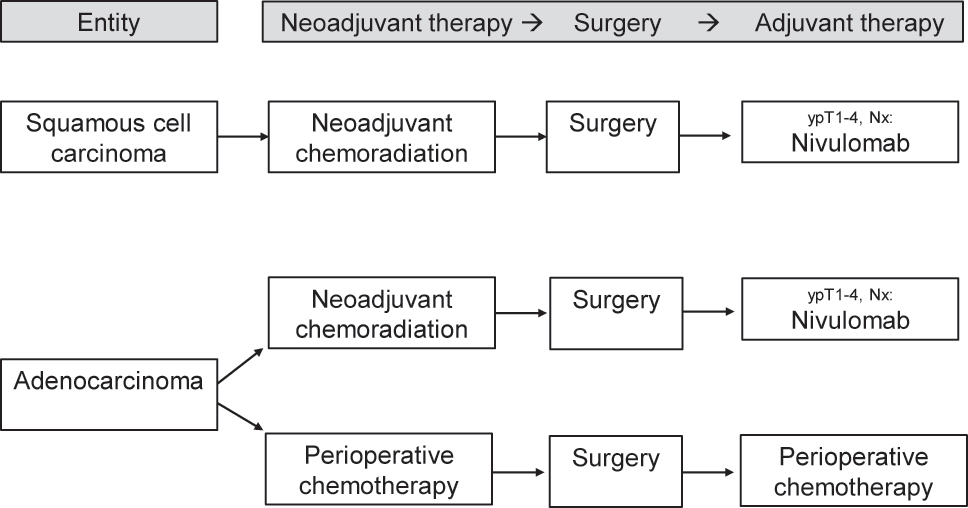 Figure 1: 
Current multimodal algorithm for the treatment of locally advanced esophageal cancer.

