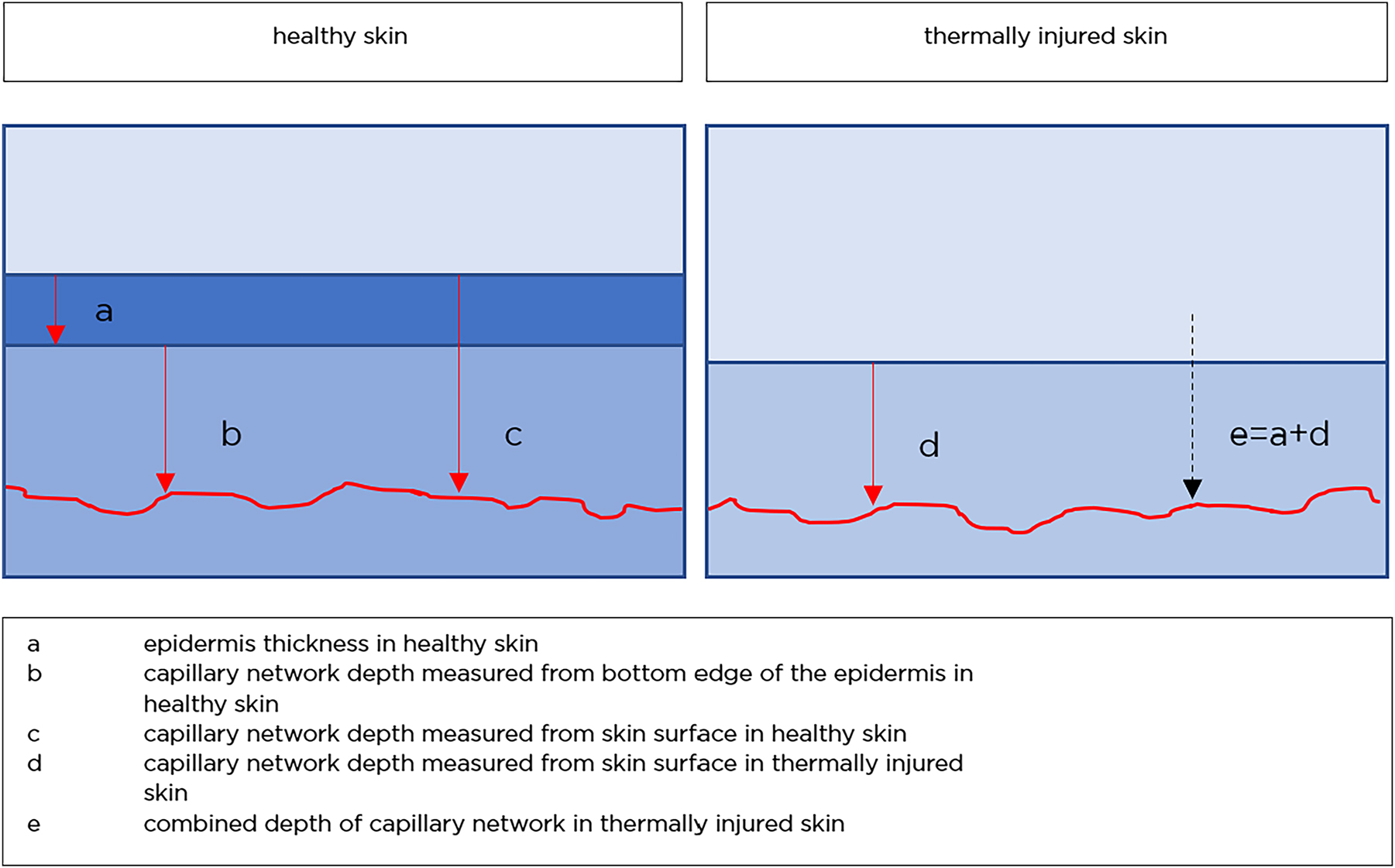 Figure 4: 
Schematic illustration of skin layers and the combined depth.
