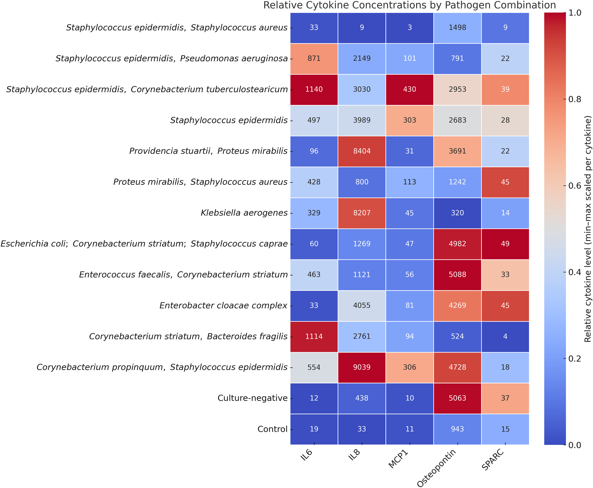 Figure 3: 
Heatmap showing the relative levels of IL-6, IL-8, MCP-1, osteopontin, and SPARC measured in osteomyelitic bone samples. Samples are grouped according to the identified pathogen species, including both monomicrobial and polymicrobial infections. Color intensity reflects the relative cytokine concentration (pg/mL). Staphylococcus epidermidis monoinfection (n=6) and control samples (n=23) are the only groups with more than one case; all other pathogen combinations represent individual cases (n=1).