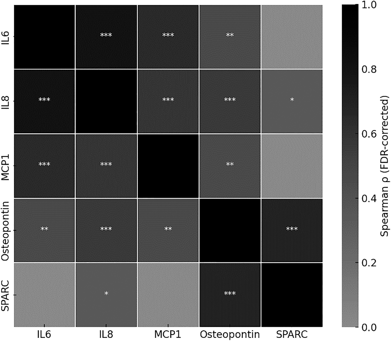 Figure 4: 
Heatmap illustrating pairwise Spearman correlation coefficients (ρ) between cytokine concentrations across all samples (n=44; OM: n=21, control: n=23). Significance levels after false discovery rate (FDR) correction are indicated as follows: ∗=p<0.05, ∗∗=p<0.01, ∗∗∗=p<0.001. Color intensity reflects the strength of the correlation.