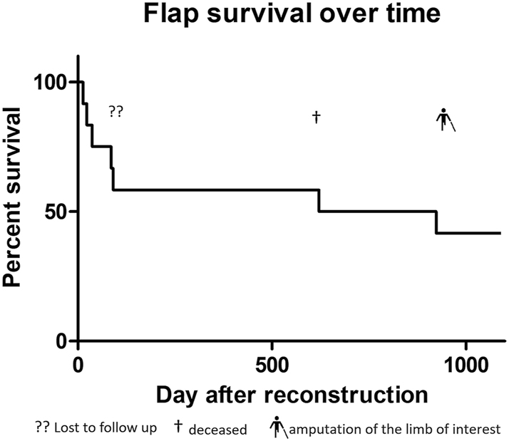 Figure 2: 
Flap survival curve in percentage over 3 years.