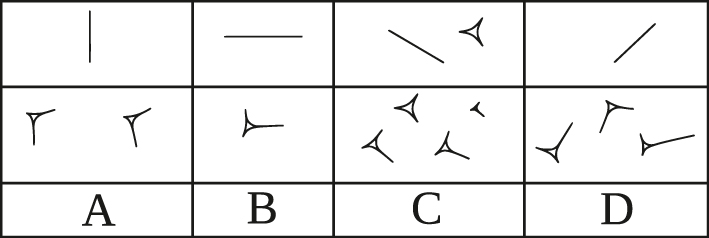 Figure 1: 
A demonstration of the “Gottstein system”, adapted from Gottstein [16], p. 129] and Homburg [21], p. ii131].
