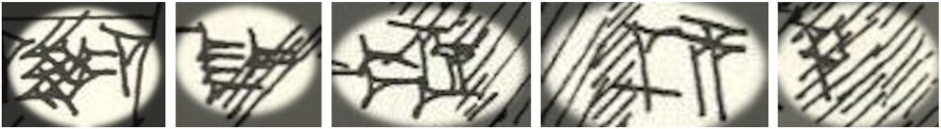 Figure 30: 
Examples of signs with varying degrees of damage, taken from KBo autographs: kiri
6 ‘garden’, tur ‘small’, nag ‘drink’, sa
5 ‘red’, and a
š
3 ‘six’.
