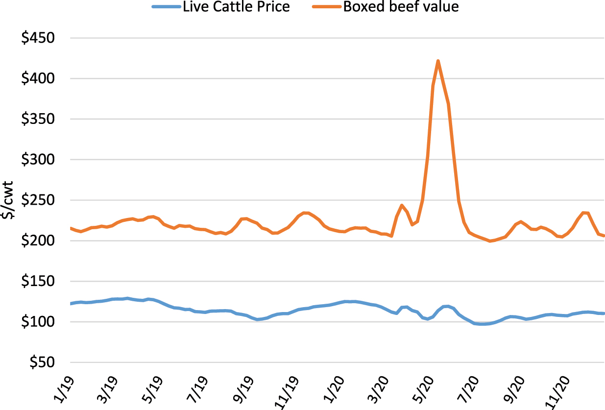 Figure 3: 
Weekly live cattle prices and boxed beef values. USDA-AMS National weekly fed cattle comprehensive. USDA-AMS National comprehensive Boxed beef cutout – all fed steer/heifer sales (LM_XB463), complied by the livestock marketing information Center.

