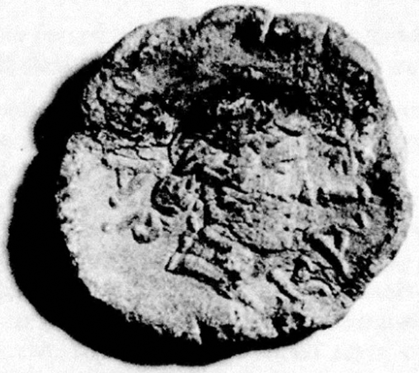 Fig. 4 Athenian lead token, showing the head of Apollo and a six-rayed star. Reproduced with permission of M. Hoff.