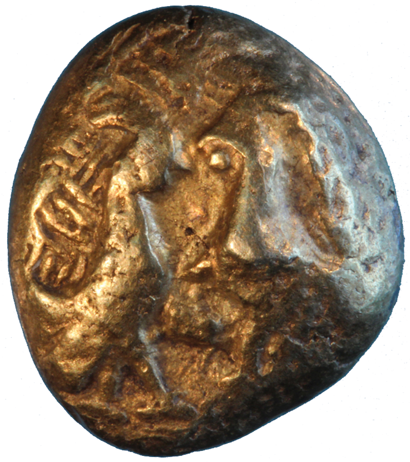 Fig. 4
Obverse of electrum ½ stater (7.14 g) with two cocks face to face; between them an uncertain oblong object on striated surface. Object found as part of the pot hoard inside naos 2 of the Artemision of Ephesos and dated 640 to 620 BC. Kerschner and Konuk (2020), coin # 36. Photo courtesy of the Vedat Nedim Tör Museum, Istanbul.