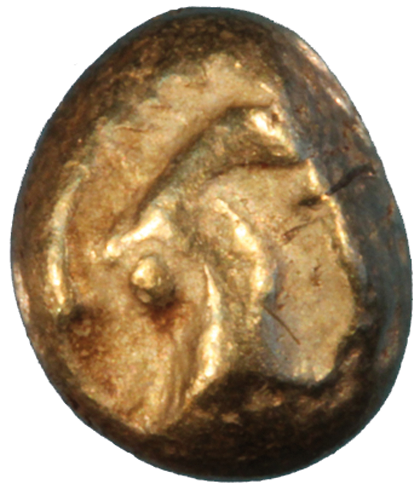 Fig. 5
Obverse of electrum 1/12 stater (1.19 g) with the heads and necks of two cocks, face to face. Object found as part of the pot hoard inside naos 2 of the Artemision of Ephesos and dated 640 to 620 BC. Kerschner and Konuk (2020), coin #46. Photo courtesy of the Vedat Nedim Tör Museum, Istanbul.