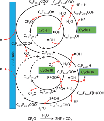 Figure 5 The proposed degradation mechanism of PFOA.