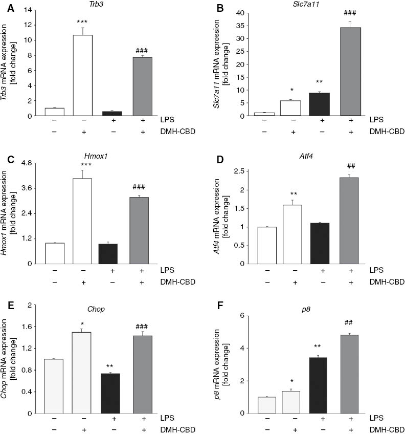 Figure 3: DMH-CBD treatment upregulates mRNA expression of genes related to oxidative stress and GSH homeostasis in BV-2 microglial cells.Cells were incubated with 10 μM DMH-CBD and 100 ng/mL LPS as indicated. qPCR data were plotted as the mean±SEM of three to four independent experiments. Statistical significance was assessed using one-way ANOVA followed by Newman-Keul’s post hoc test: *p<0.05, **p<0.01, and ***p<0.001 vs. control; ##p<0.01 and ###p<0.001 vs. LPS.