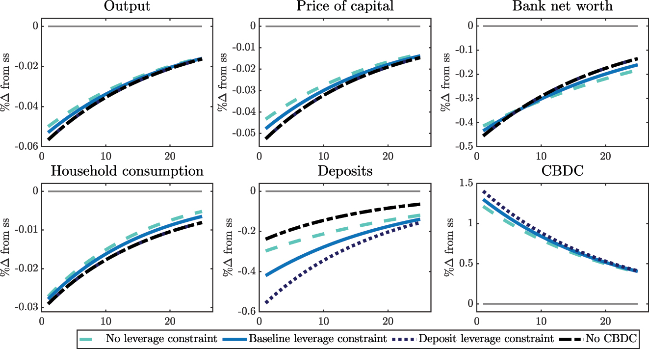 Figure 13: 
Response to a 5 % shock to productivity under CBDC with credit policy and varying leverage constraint for central bank credit.

