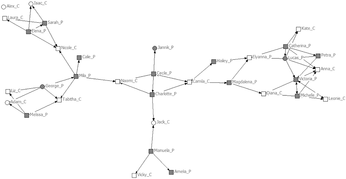 Figure 1: 
(Self-reported) Social network relations in Asian VE.
