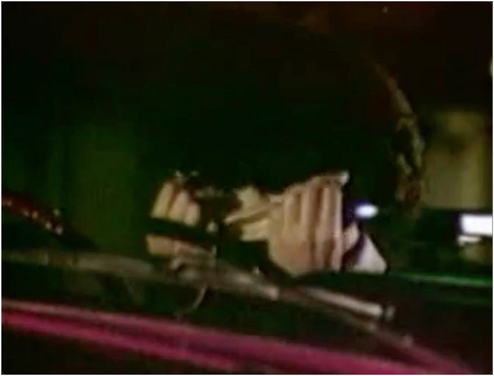 Figure 7:
The female spy tears off the face of Jenny in her car.