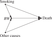 Figure 6: Showing birth weight (BW$BW$) as a “collider” affected by two independent causes: “Smoking” and “Other causes.” Observing one cause (e. g., Smoking) explains away the other and reduces its probability.
