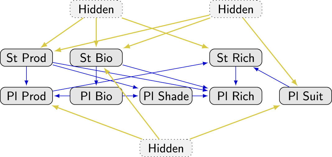 Figure 13 
                  Model discovered by MBANG.
               