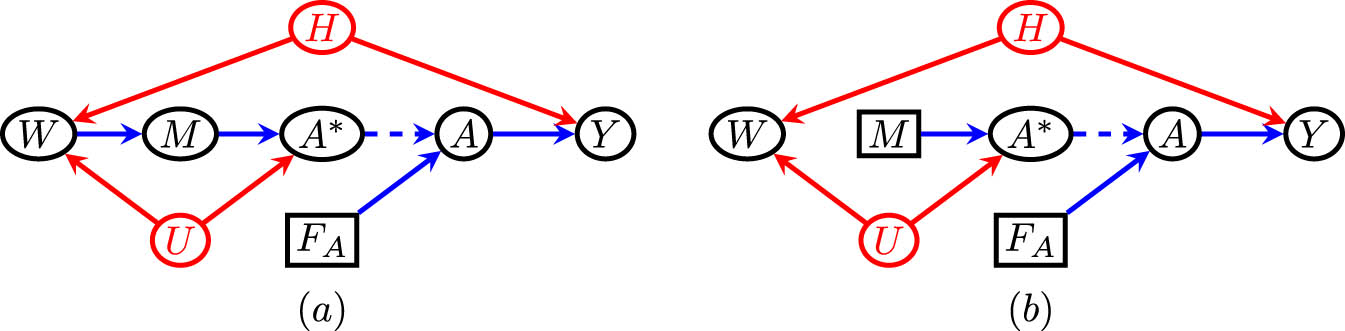 Figure 3 
               (a) The DT framework version of the napkin model. Only interventions on 
                     
                        
                        
                           A
                        
                        A
                     
                   are well-defined. (b) A graph representing the model where the variable 
                     
                        
                        
                           M
                        
                        M
                     
                   is “fixed” via the application of the truncated factorization.
            