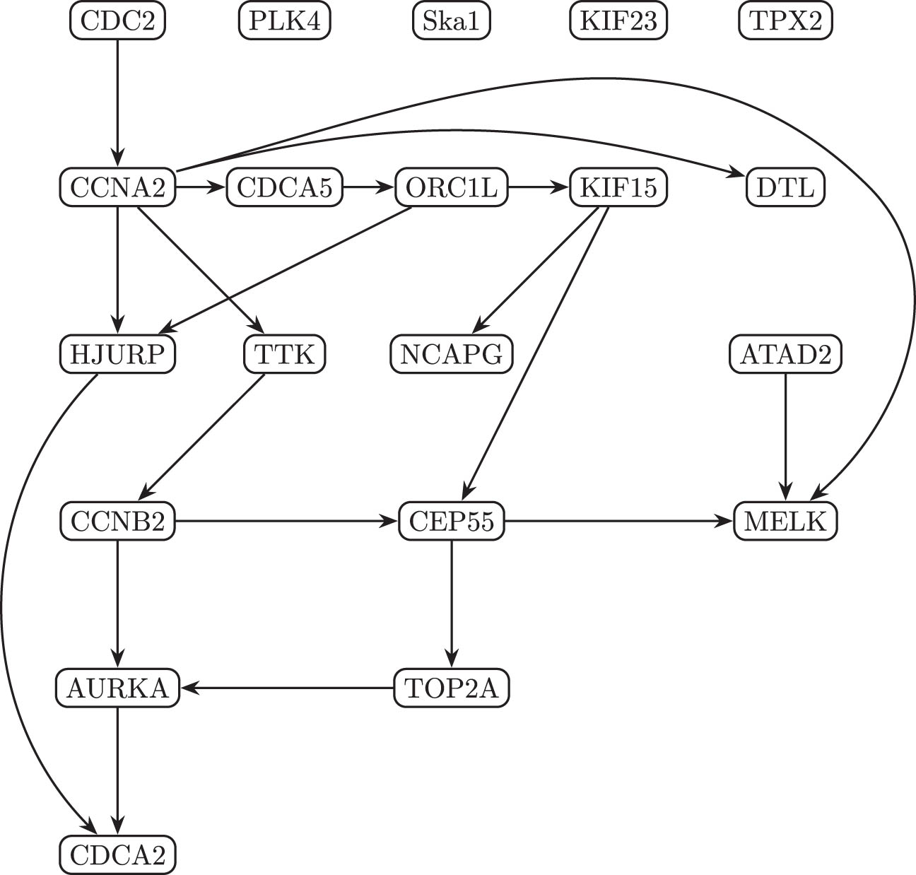 Figure 2 
               Estimated causal graph 
                     
                        
                        
                           
                              
                                 G
                              
                              
                                 ˆ
                              
                           
                        
                        \hat{{\mathcal{G}}}
                     
                   of the hub-genes after variable selection. To avoid clutter, we have only included the 20 edges associated with the largest causal strength.
            