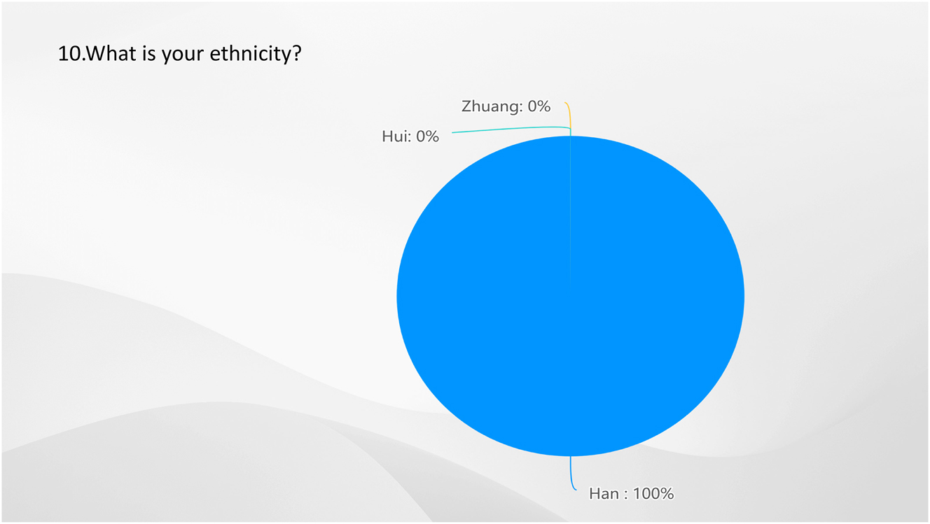 Figure 9: 
Result of Q10-what is your ethnicity? Source: own elaboration (2023).

