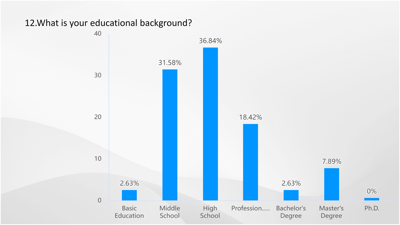 Figure 11: 
Result of Q12-what is your educational background? Source: own elaboration (2023).
