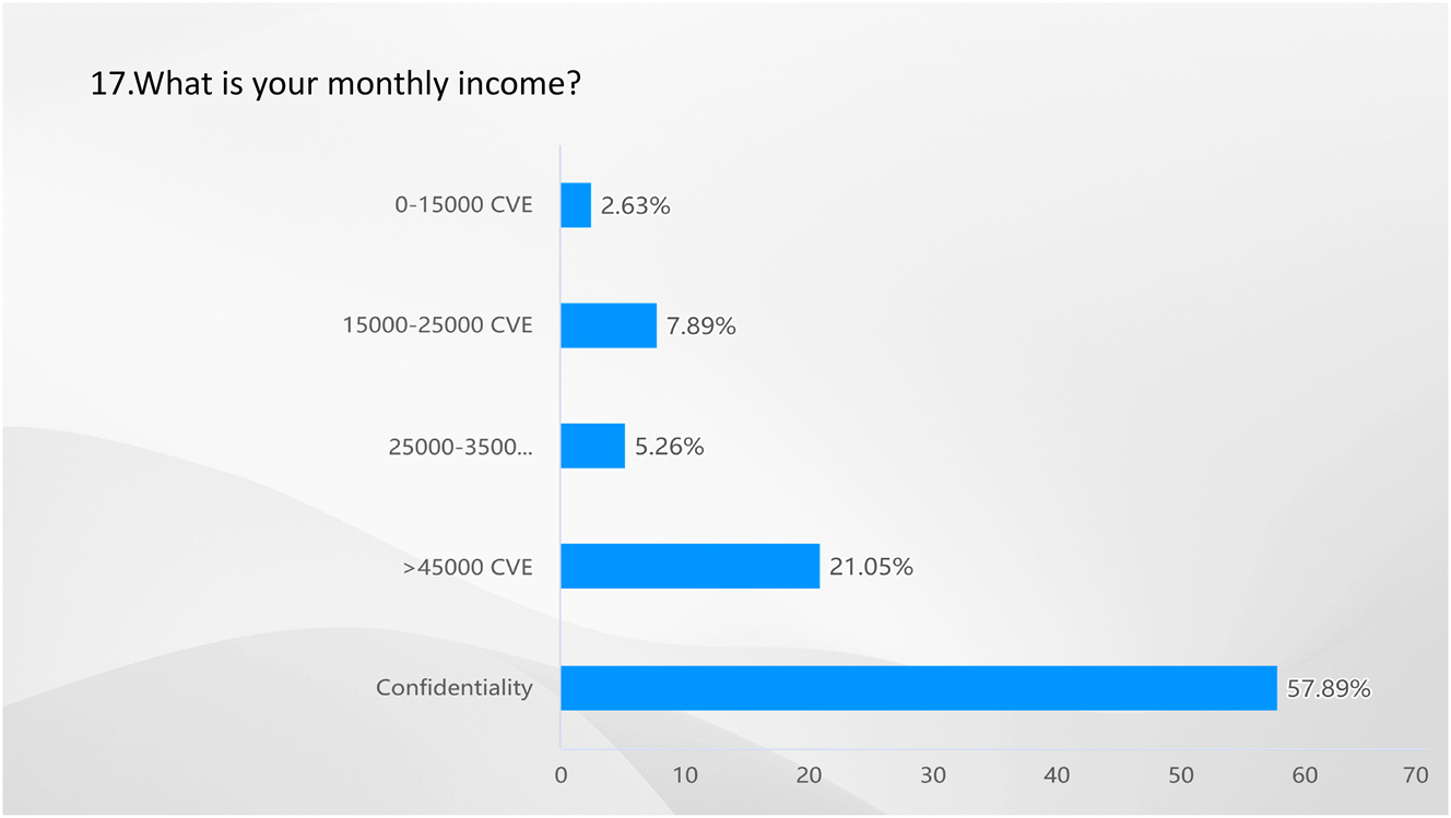 Figure 16: 
Result of Q17-what is your monthly income? Source: own elaboration (2023).
