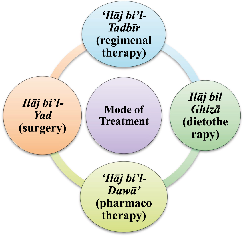 Figure 1: 
Modes of Unani treatment.
