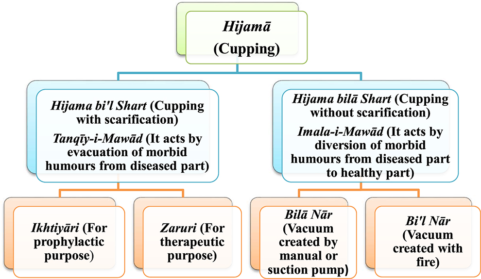 Figure 2: 
Types of hijama (cupping).
