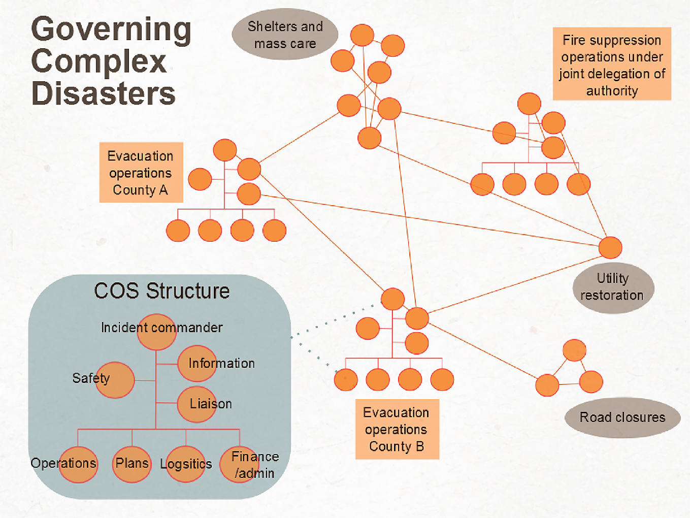 Figure 1: COS as a Component of Network Governance.