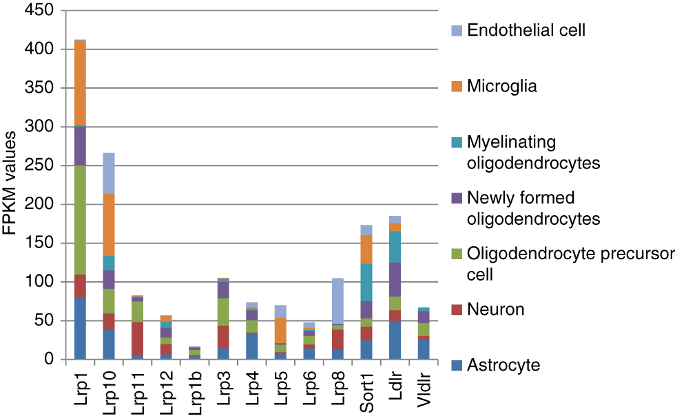 Figure 3: FKPM values of Lrp receptors in 7 brain cell types (1). The highest expressed Lrp receptor genes in brain cell types are Lrp1, Lrp10, and Sort1 [4]. Lrp11 manifests a neuron cell-specific receptor preference. Lrp8 is a largely endothelial cell-specific receptor.