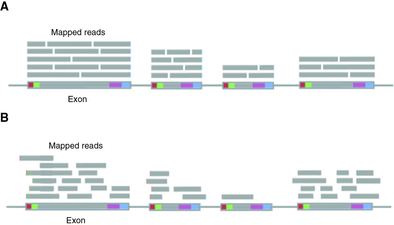 Figure 1: (A) Ideal distribution of RNA-Seq reads mapped to an exon if the reads were contiguous and of sufficient length. (B) Typical distribution of RNA-Seq reads mapped to an exon. Grey regions on the exon represent the CDS and other colours represent the 5′cap, 5′UTR, 3′UTR and Poly-Adenylated tail (red, green, purple, blue) correspondingly.