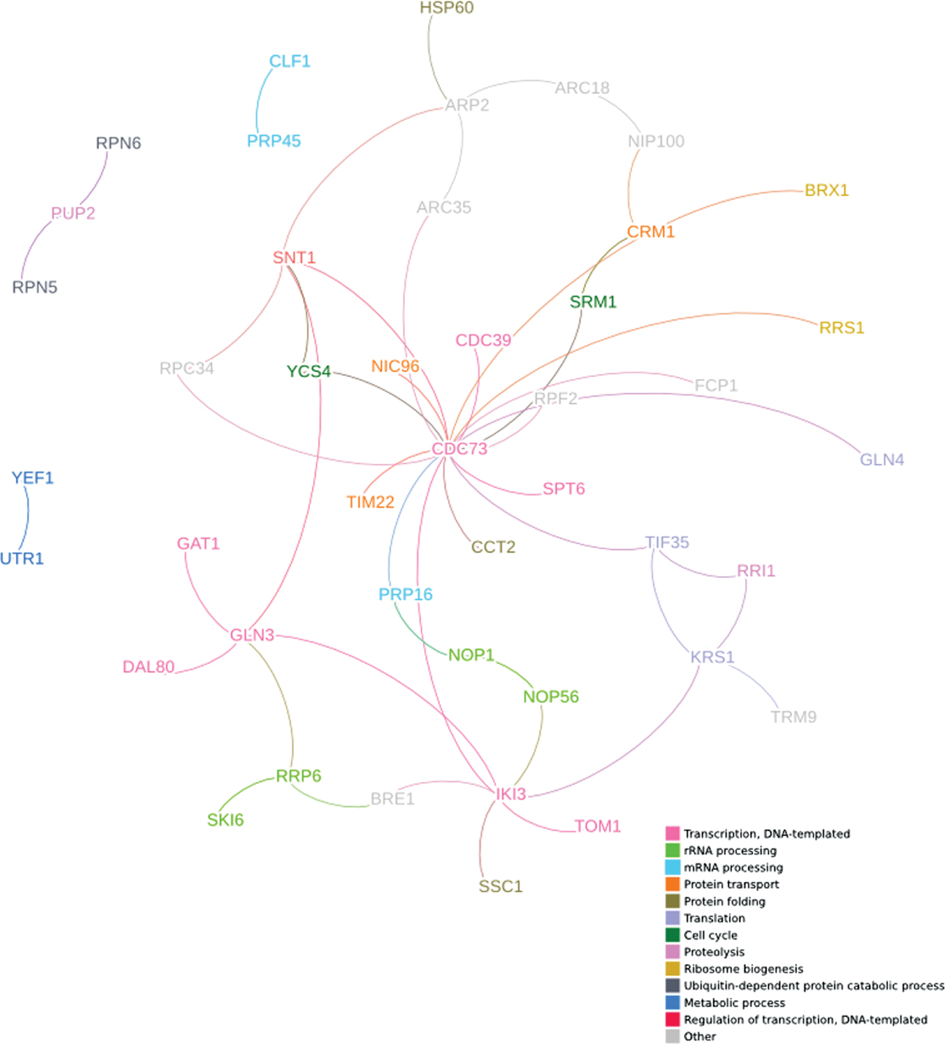 Figure 2: A genetic interaction network of S. cerevisiae DDR genes coloured by GO terms using genetic interaction data collected from BioGRID and filtered for orthologues of known human DDR genes. GO terms were sourced from the Gene Ontology Consortium and filtered for functional terms only. The most popular overall GO term was chosen for genes with multiple annotations.