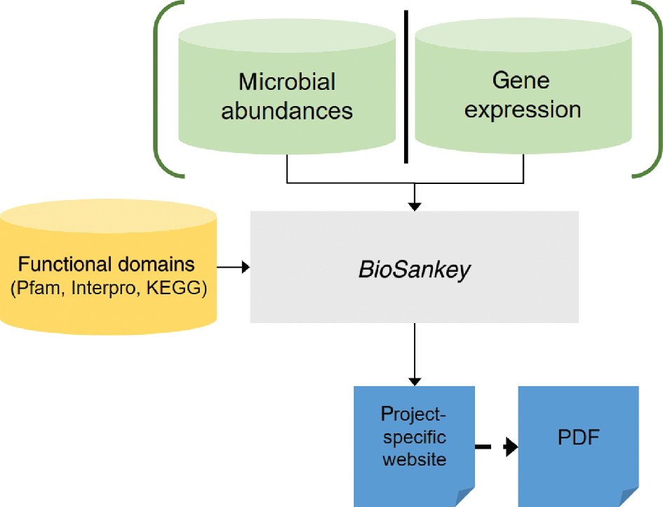 Figure 1: The workflow of the tool BioSankey: the green items on top, “microbial abundances” and “gene expression”, are alternative inputs, the yellow item on the left is optional information and the blue sheets at the bottom are the output, where the dashed arrow to “PDF” is an optional step.