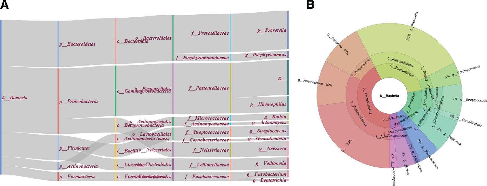 Figure 2: Illustration of the taxonomic distribution of the most abundant genera from the tongue tissue as described in Caporaso et al. [32]. On the left side (subfigure A) is the diagram generated by BioSankey, on the right side (subfigure B) is the diagram generated by the tool Krona (Ondov et al. [1]. The information in both diagrams is the same, the difference – except style, is that the Sankey diagram is read left to right from general to more specific (= to lower taxonomic ranks) and the Krona diagram from inside to outside.