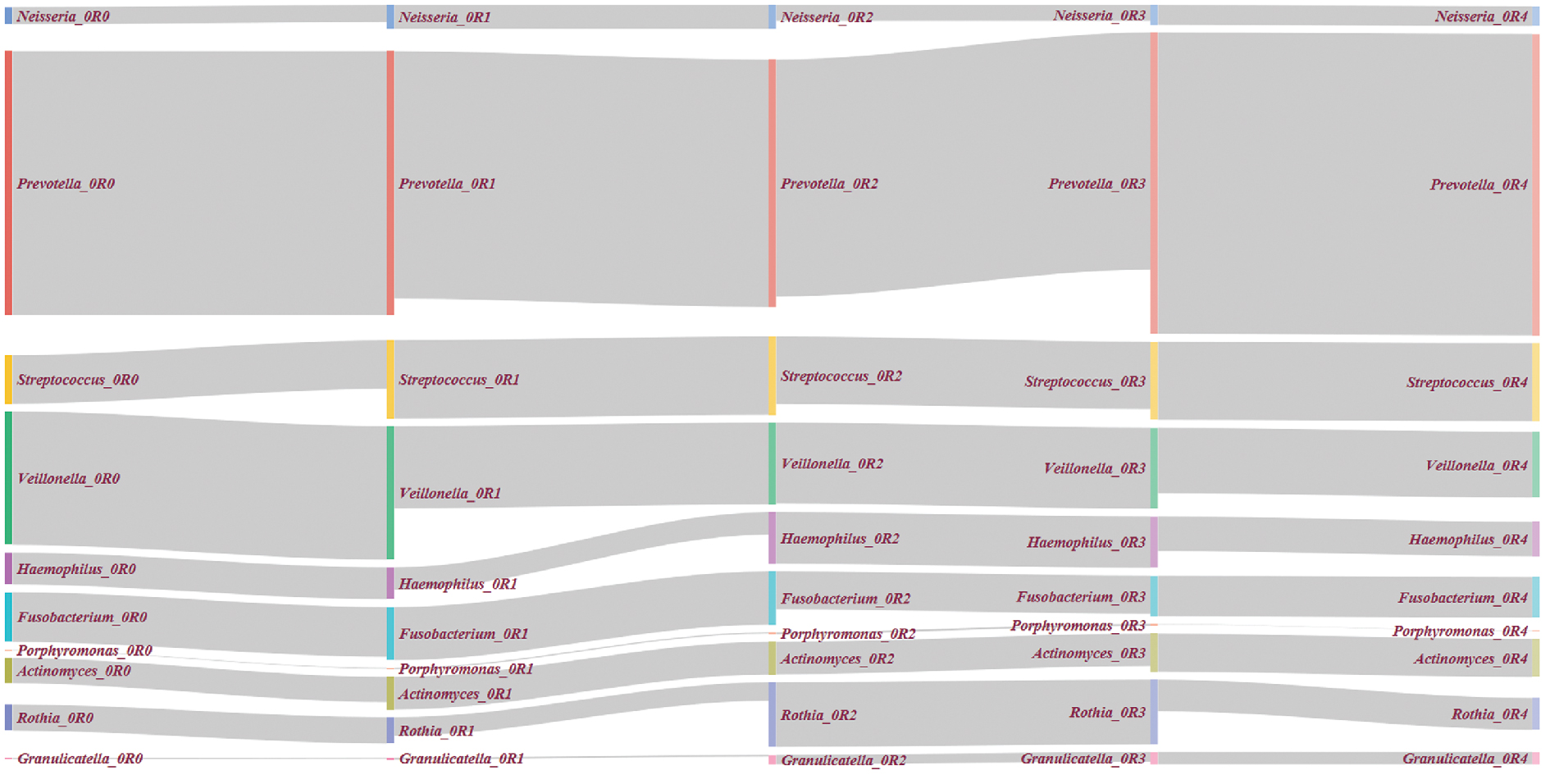 Figure 3: Illustration of four timepoints from the microbial community of the tongue as described in Caporaso et al. [32]. The taxonomy level is genus. The largest absolute genera and the biggest absolute and relative changes over time are visible: Prevotella as largest genus and Rothia, and Granulicatella with large changes (large bars, with small lines from left to right, e.g. “Rothia_2” and “Rothia_3”).