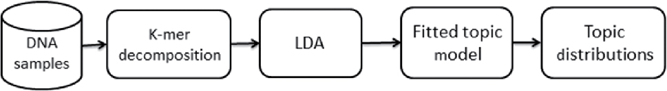 Figure 2: LDA process steps in our framework.