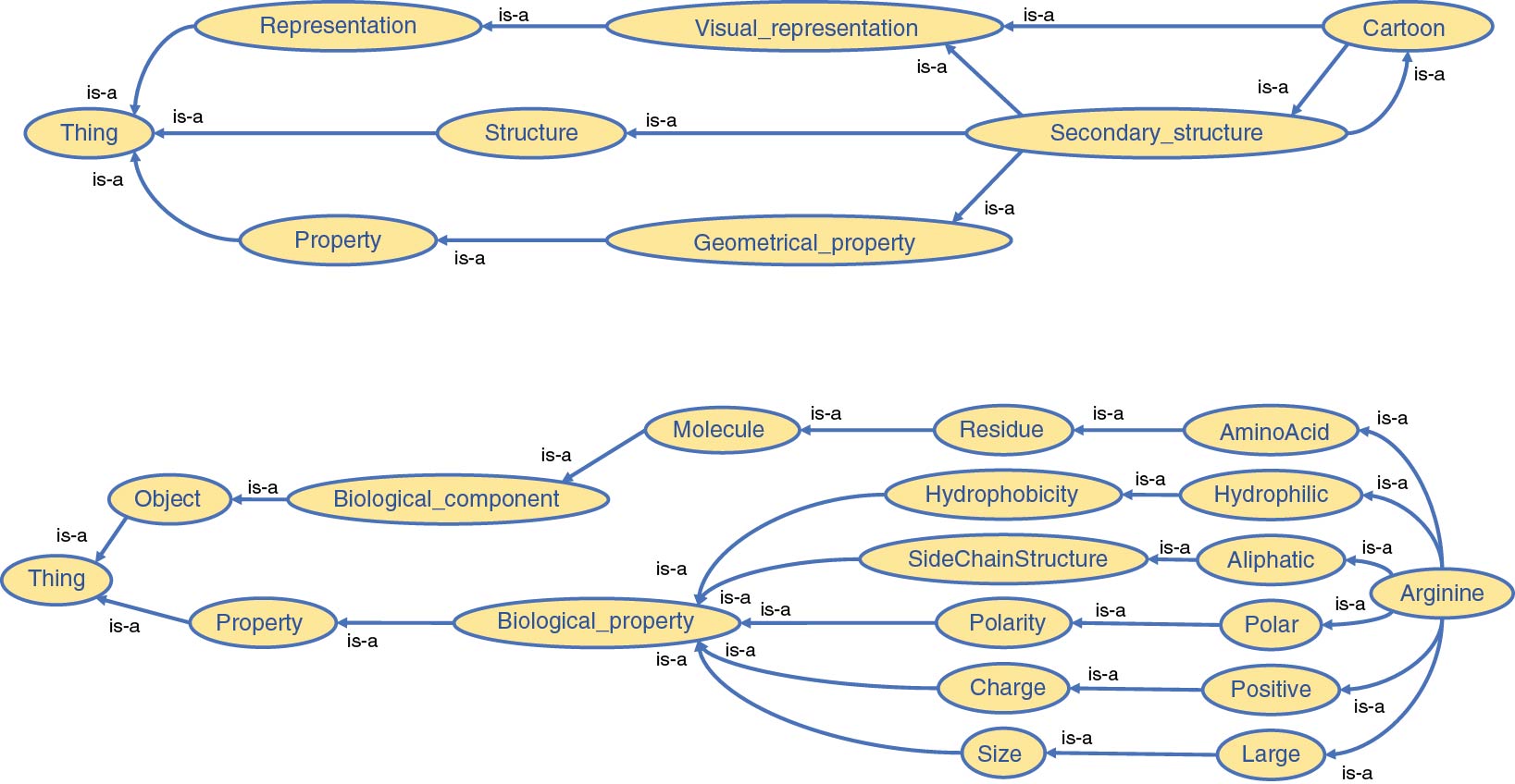 Figure 3: A part of our structural biology ontology used in our application.