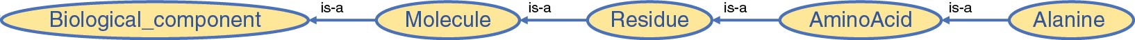 Figure 4: Extract from our OWL ontology for the Alanine concept.