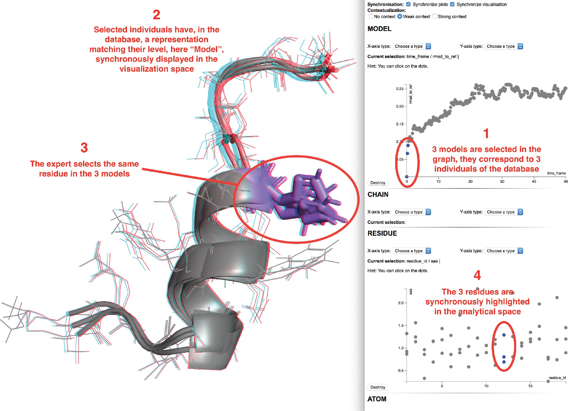 Figure 8: On the right, analytical space where interactive plotting are added upon user actions in the visualization space or through the available menus. On the left, visualization space, each object is displayed synchronously with the selected individuals of the analytical space.