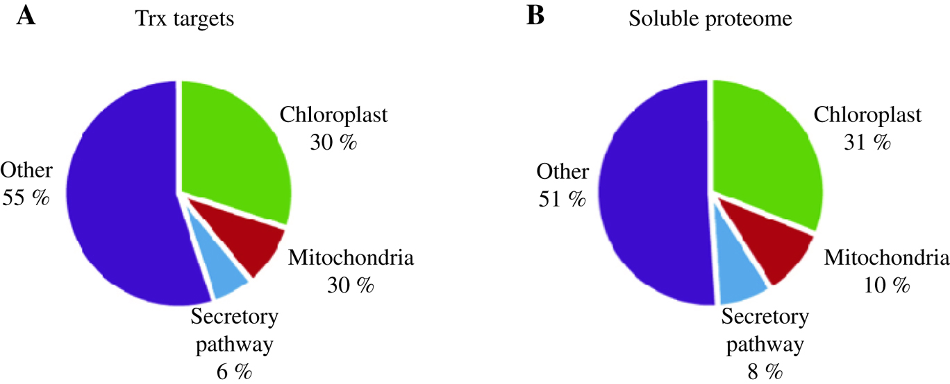 Figure 10: Subcellular localization of Chlamydomonas proteins. Pie charts of the subcellular localization of Trx-targets (A) are shown in comparison to proteins of the soluble proteome (B).