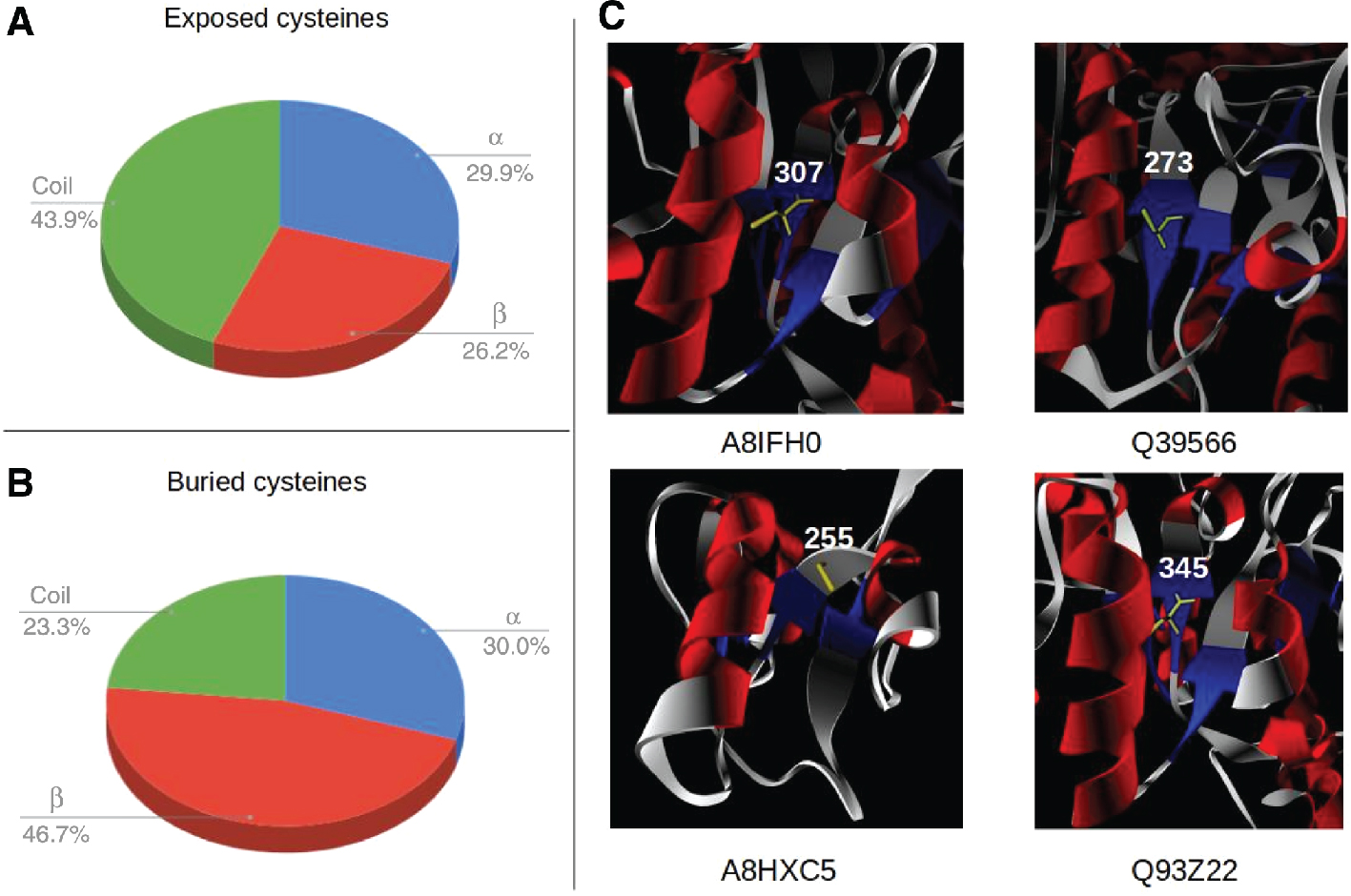 Figure 14: Structural analysis of buried PTM modified cysteine residues. (A) and (B) Overall distribution of secondary structure motifs for the protein backbone stretches hosting exposed and buried cysteines, respectively. (C) Visualization of four cysteine sites that are all nitrosylated and located on β-strands within a Rossman fold.