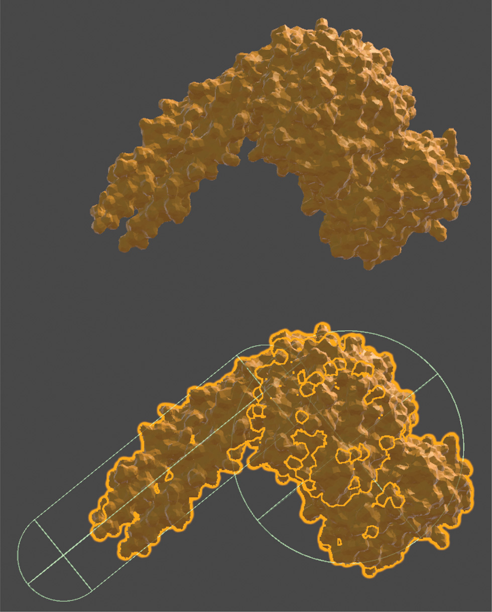Figure 2: Laminin globular domain compound collider made from a capsule primitive and a sphere primitive collider (bottom).