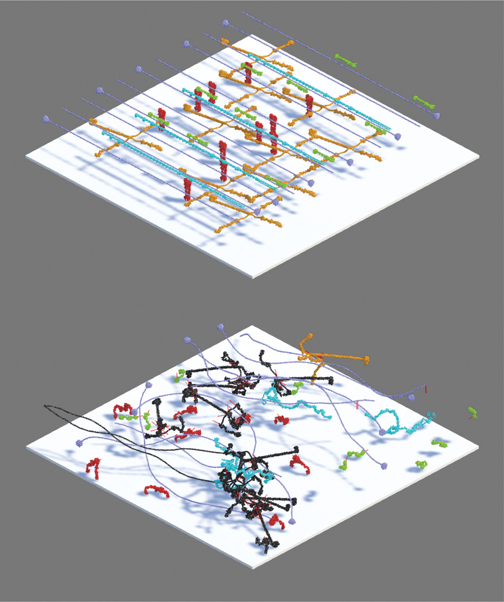 Figure 7: Typical simulation run molecules involved in a network are coloured in black.