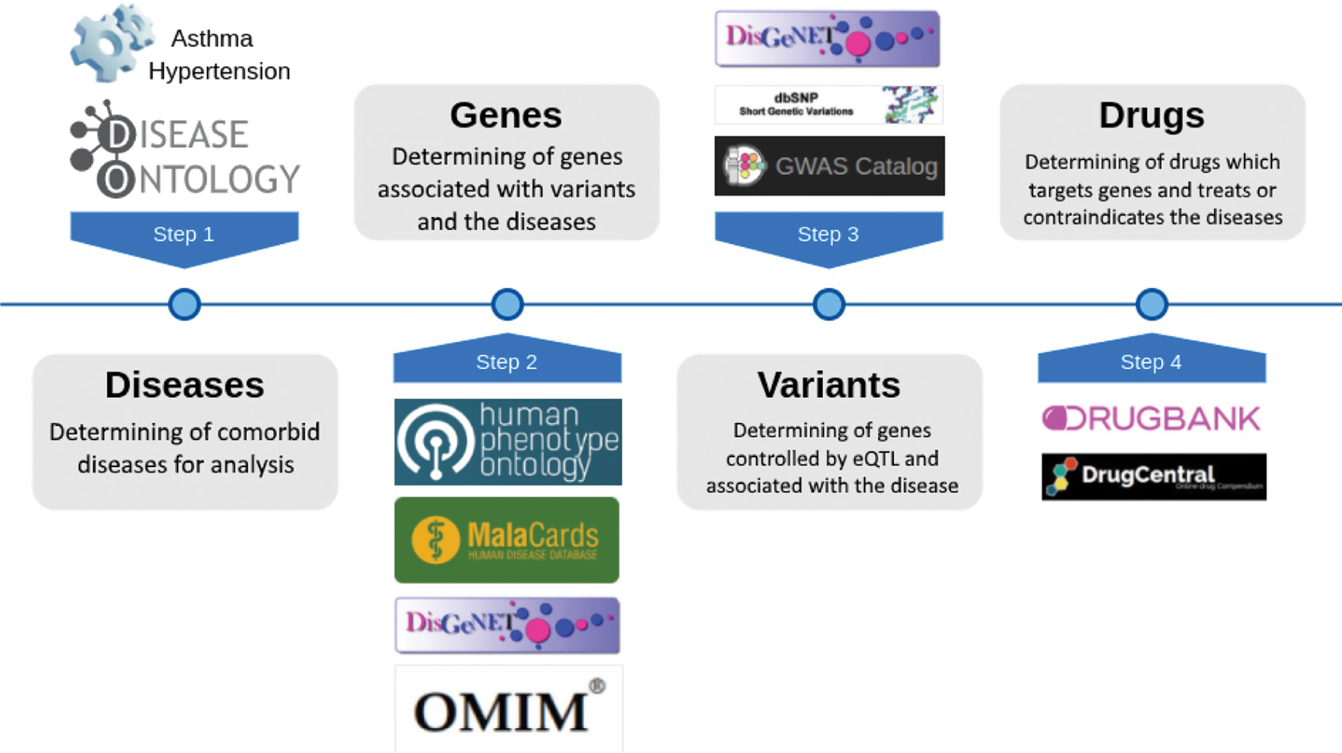 Figure 1: Four steps of the workflow system for generating GenCoNet semi-automatically.