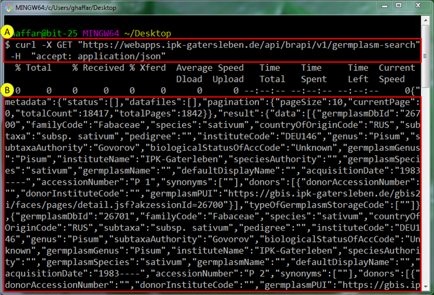 Figure 8: Accessing Germplasm resource REST endpoint using Linux cURL command line tool.