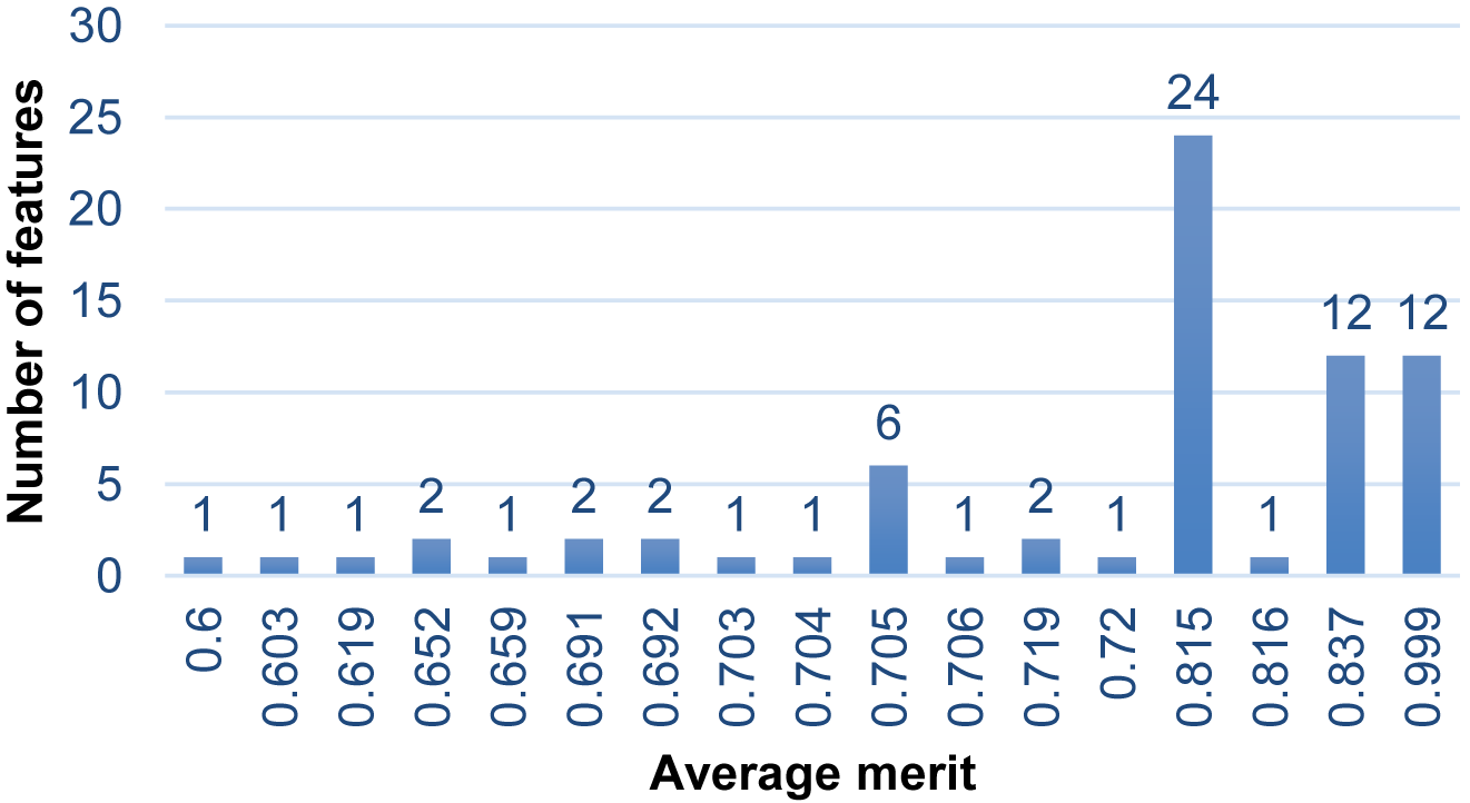 Figure 2: Average merit of information gain attribute selection after used metalearner-correlation-KLR with 10-fold cross-validation.